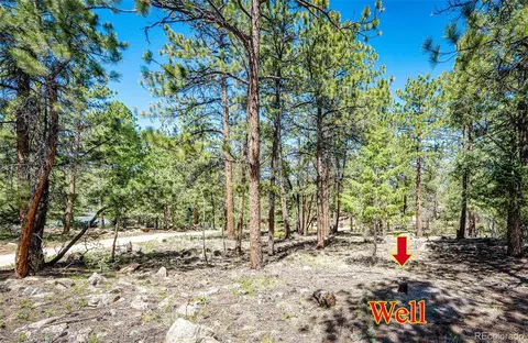 S Wandcrest Drive, Pine, CO 80470 photo 11