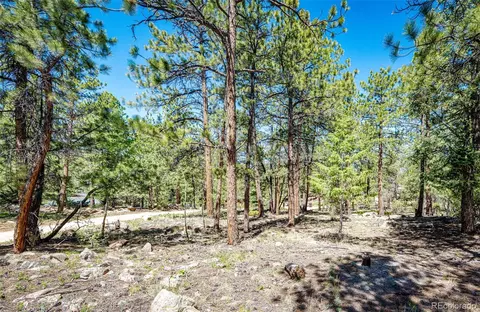 S Wandcrest Drive, Pine, CO 80470 photo 10