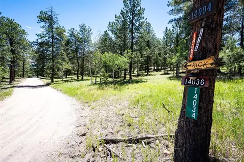 S Wandcrest Drive, Pine, CO 80470
