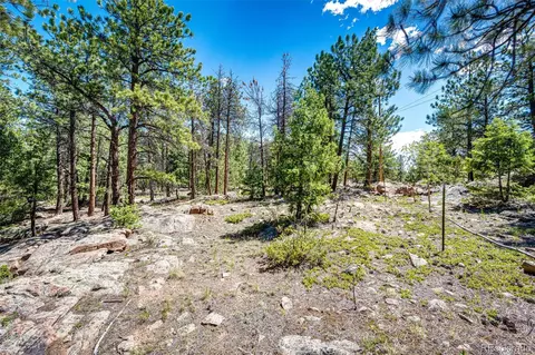 S Wandcrest Drive, Pine, CO 80470 photo 7