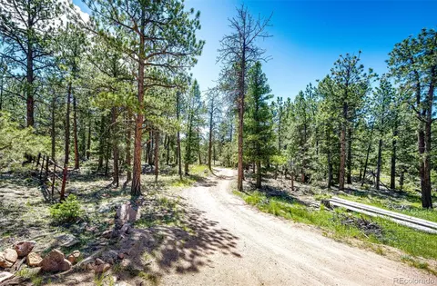 S Wandcrest Drive, Pine, CO 80470 photo 3
