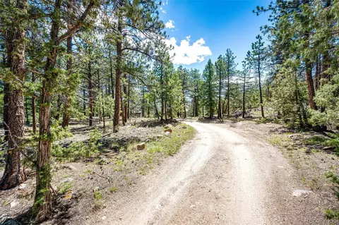 S Wandcrest Drive, Pine, CO 80470 photo 4