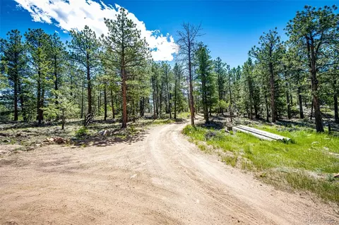 S Wandcrest Drive, Pine, CO 80470 photo 2