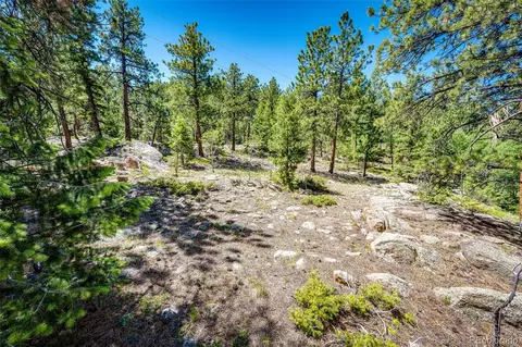 S Wandcrest Drive, Pine, CO 80470 photo 6