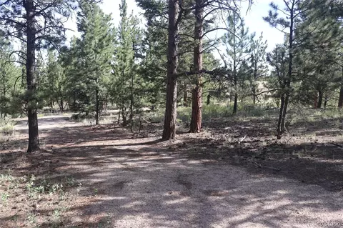 Singletree Road, Buena Vista, CO 81211