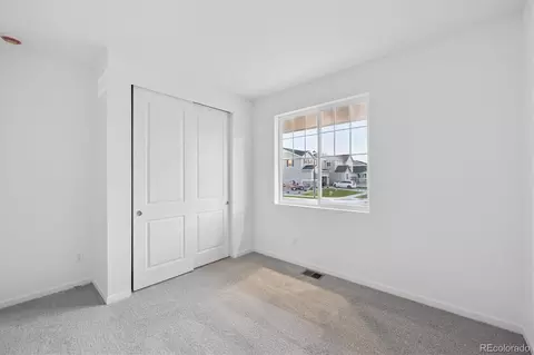 916 Steppe Ln, Windsor, CO 80550 photo 3