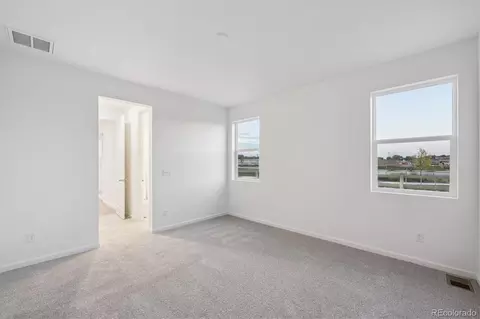 916 Steppe Ln, Windsor, CO 80550 photo 13