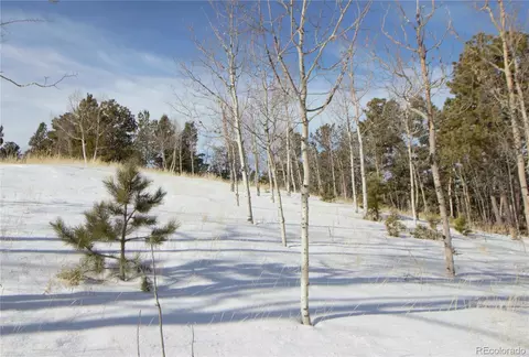 527 Klitowya Trl, Woodland Park, CO 80863
