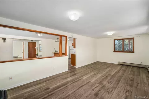 33411 Lake Ln, Pine, CO 80470 photo 10
