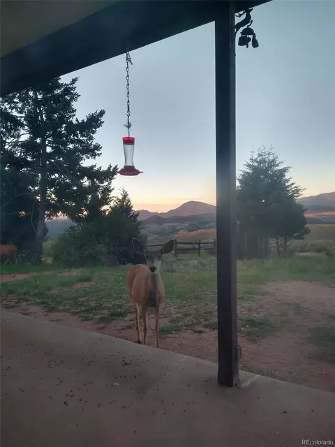 33411 Lake Ln, Pine, CO 80470 photo 38