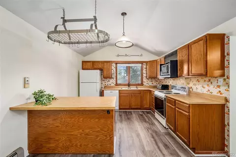 33411 Lake Ln, Pine, CO 80470 photo 3