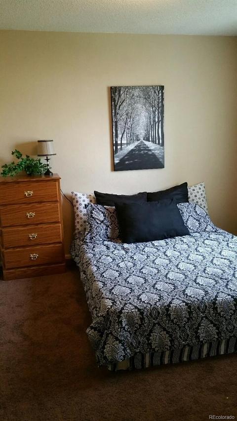 21160 E 42nd Ave, Denver, CO 80249 photo 9