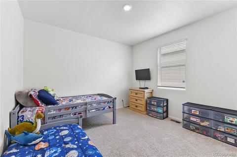 7318 Fraser Cir, Frederick, CO 80530 photo 11
