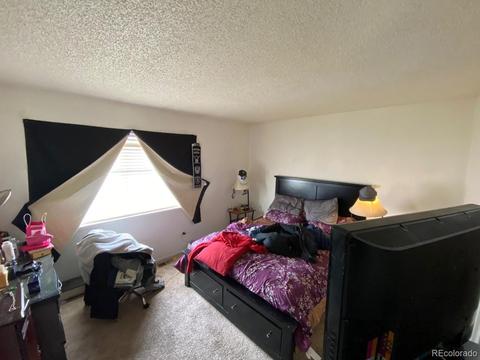21050 E 39th Ave, Denver, CO 80249 photo 15