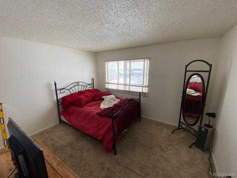 21050 E 39th Ave, Denver, CO 80249 photo 13