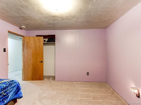2407 E 101st Way, Thornton, CO 80229 photo 25