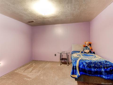 2407 E 101st Way, Thornton, CO 80229 photo 24