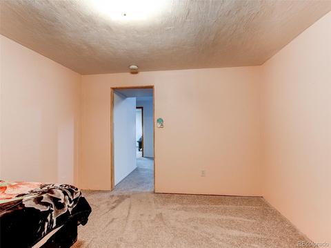 2407 E 101st Way, Thornton, CO 80229 photo 29