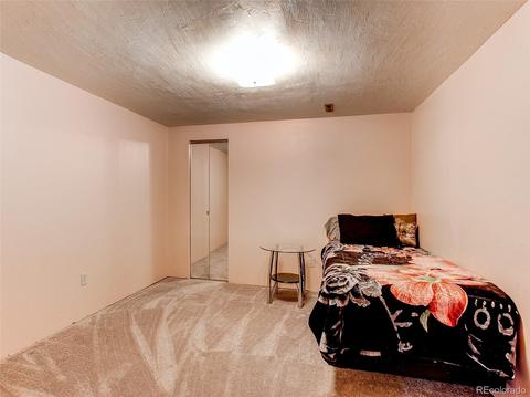 2407 E 101st Way, Thornton, CO 80229 photo 28