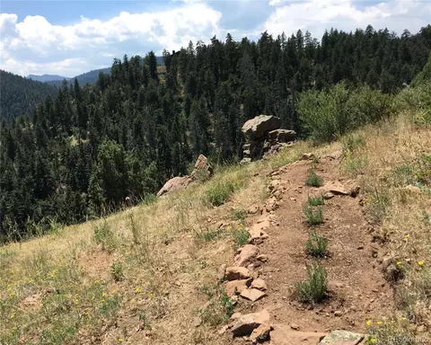 5162 Raven Gulch Rd, Morrison, CO 80465 photo 21