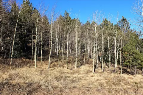 00 Alps Hill Rd, Central City, CO 80427