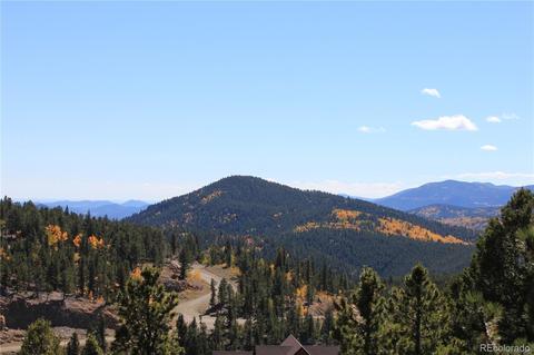 1 Dill Pickle Pl, Black Hawk, CO 80422 photo 35