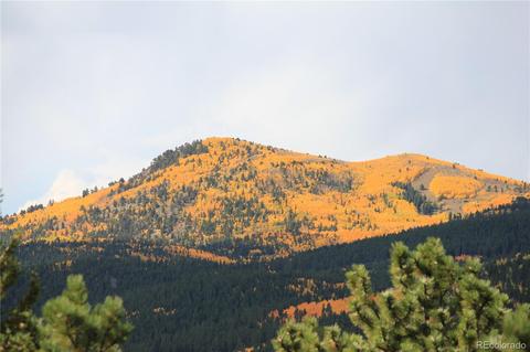1 Dill Pickle Pl, Black Hawk, CO 80422 photo 30
