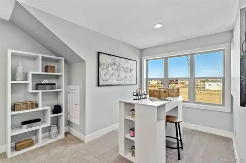 371 Josef Cir, Fort Lupton, CO 80621 photo 30