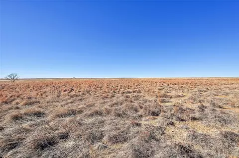 17251 County Road 2, Rush, CO 80833 photo 25