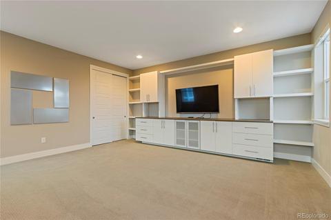 8652 E 53rd Ave, Denver, CO 80238 photo 37
