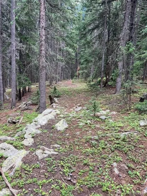 lot14 Long Rd, Idaho Springs, CO 80452
