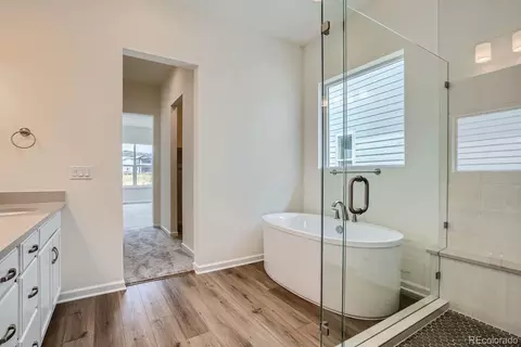 9 Simmental Loop, Castle Rock, CO 80104 photo 17
