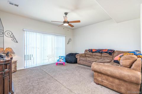 464 Mt Sherman Ave, Severance, CO 80550 photo 11