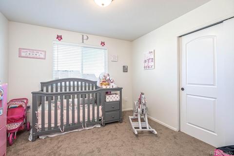 464 Mt Sherman Ave, Severance, CO 80550 photo 18