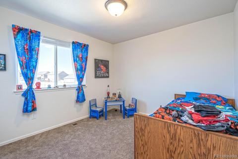 464 Mt Sherman Ave, Severance, CO 80550 photo 20