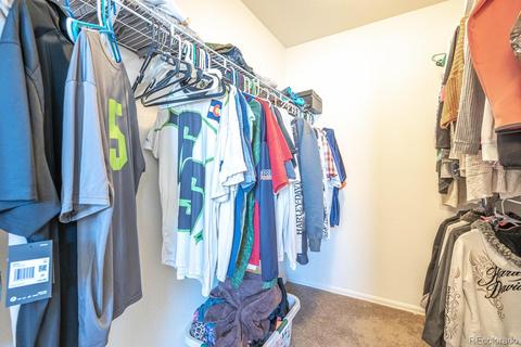 464 Mt Sherman Ave, Severance, CO 80550 photo 16