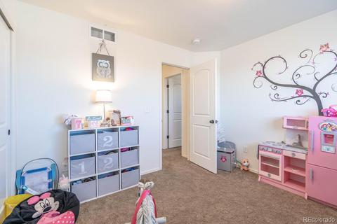 464 Mt Sherman Ave, Severance, CO 80550 photo 17