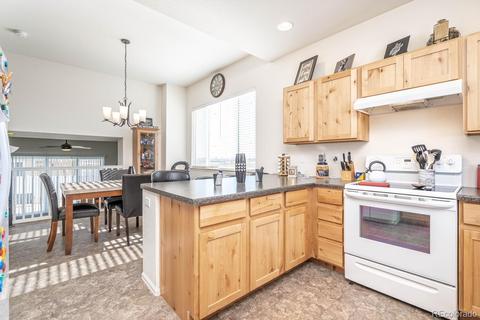 464 Mt Sherman Ave, Severance, CO 80550 photo 6