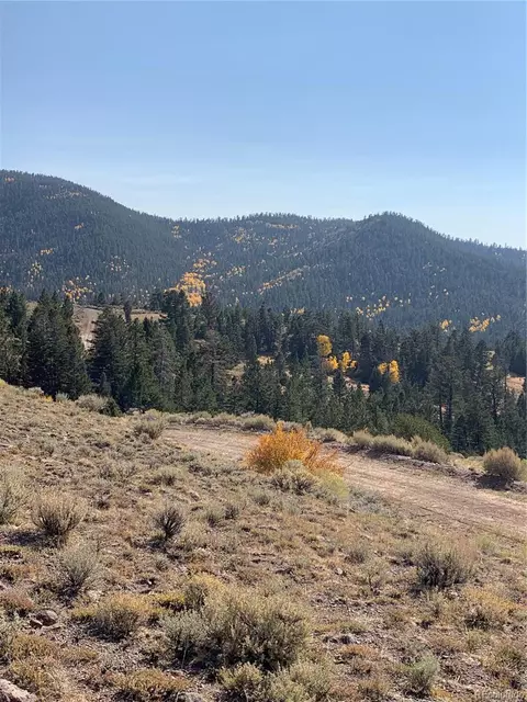 50795087 Delancey Rd, Fort Garland, CO 81133