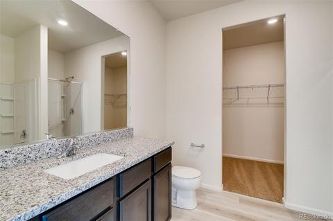 1070 Long Meadows St, Severance, CO 80550 photo 10