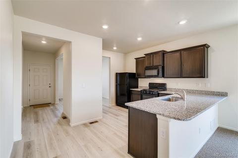1070 Long Meadows St, Severance, CO 80550 photo 8