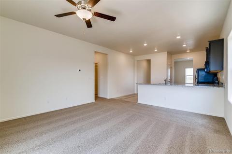 1070 Long Meadows St, Severance, CO 80550 photo 5