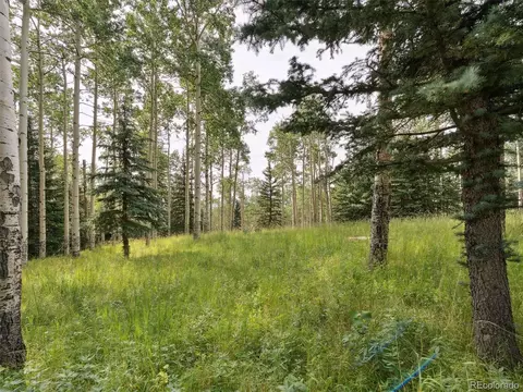 000 Snyder Mountain Rd, Evergreen, CO 80439
