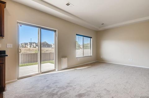 18254 E 45th Pl, Denver, CO 80249 photo 10