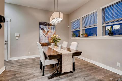 8688 E 54th Pl, Denver, CO 80238 photo 7