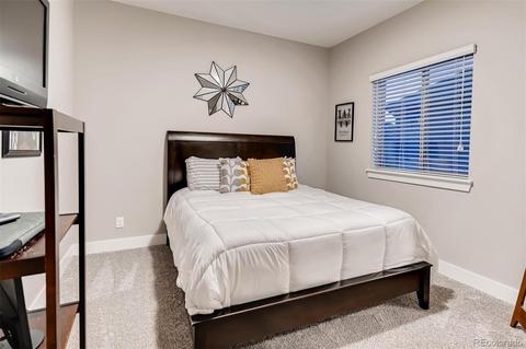 8688 E 54th Pl, Denver, CO 80238 photo 17
