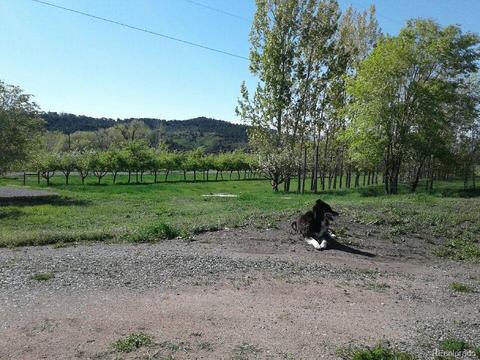 19293 Green Valley Rd, Cedaredge, CO 81413 photo 40