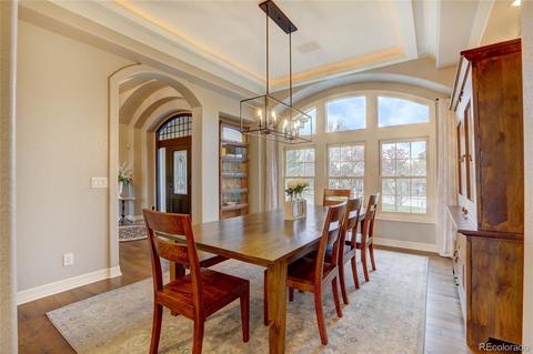 10032 Oak Tree Ct, Lone Tree, CO 80124 photo 18
