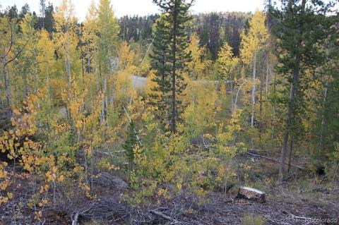 178 County Road 853, Tabernash, CO 80478 photo 4