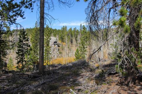 178 County Road 853, Tabernash, CO 80478 photo 19